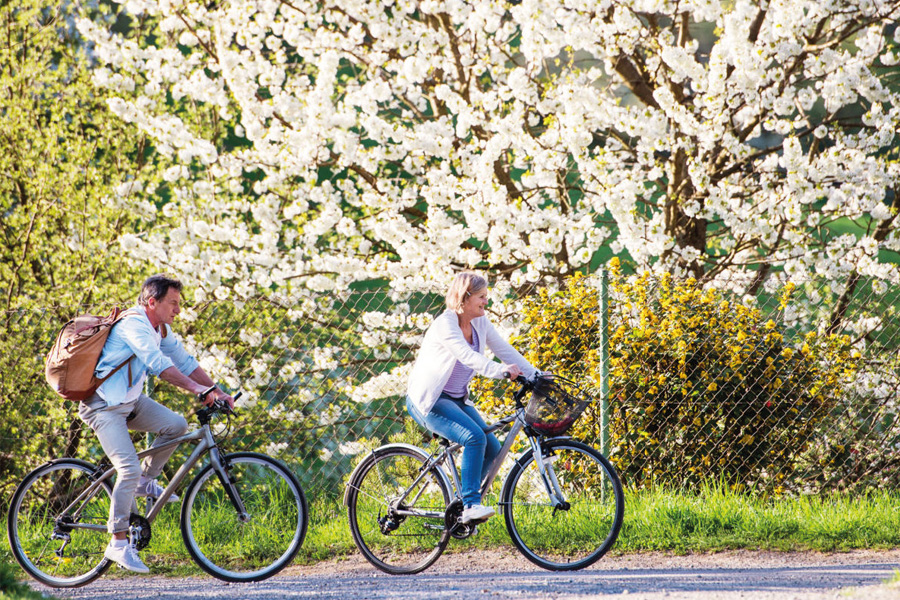 Zwei Personen auf Fahrrädern vor blühenden Bäumen.